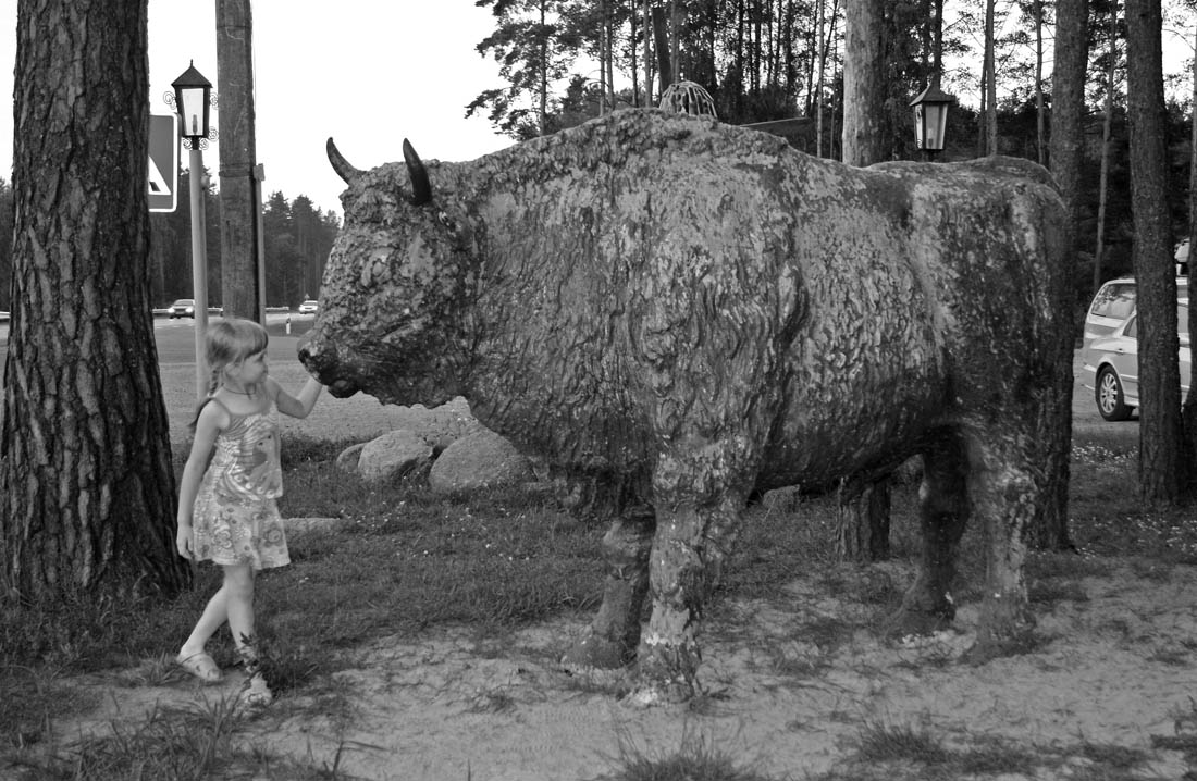 Ein Mädchen und ein Bison