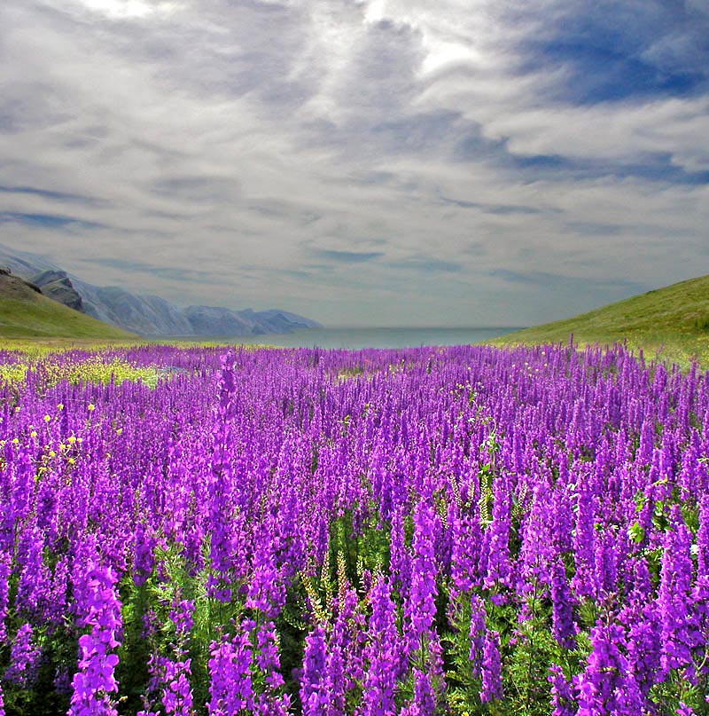 "... I love your bed Bereich ...*