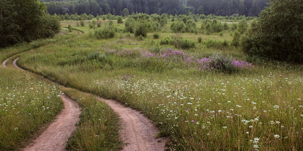 Durch den Bereich ...