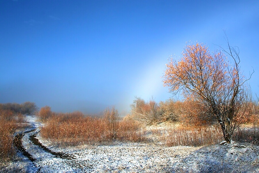 Die Straße im Schnee Nebel