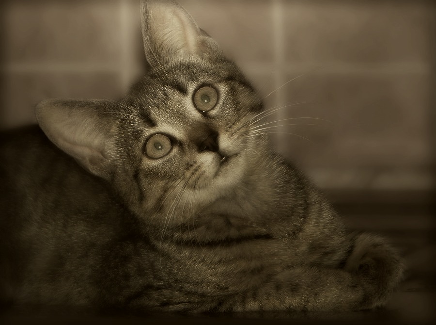 Lassen Sie es uns wissen!