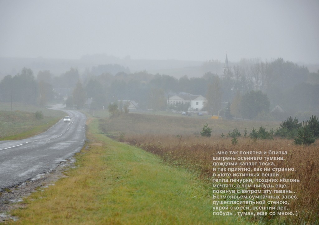shagreen Herbstnebel ...