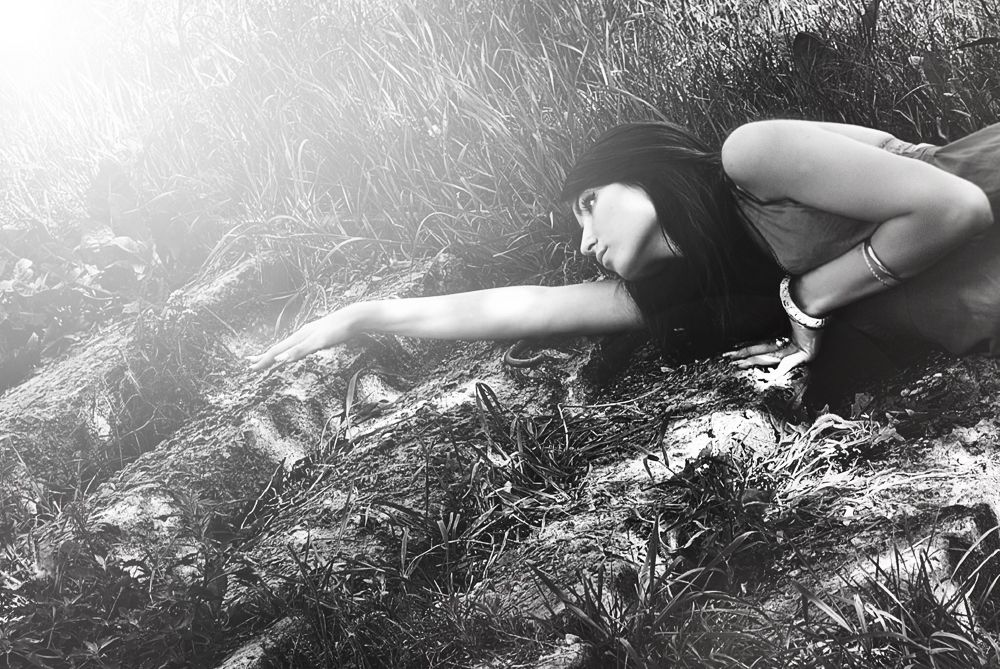 das Licht zu erreichen