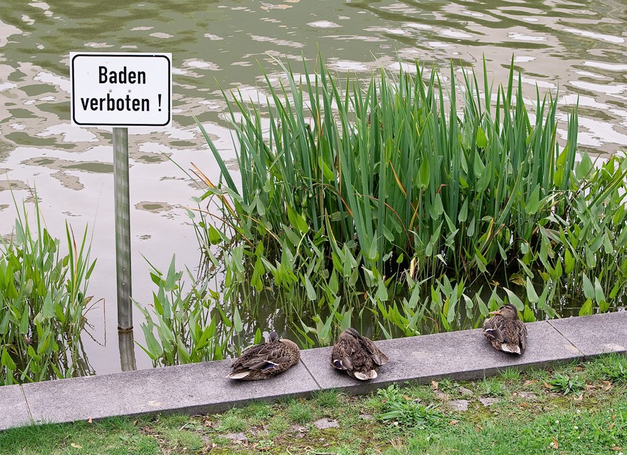 Schwimmen ist verboten