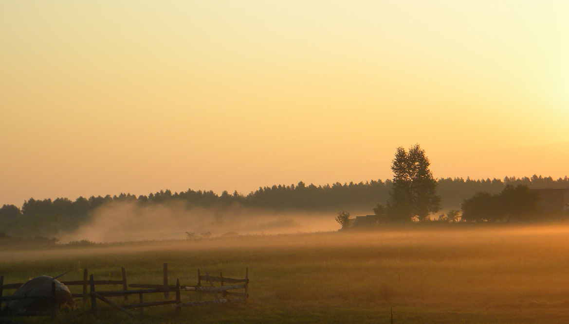 Morgen Sommer, nebligen Morgen