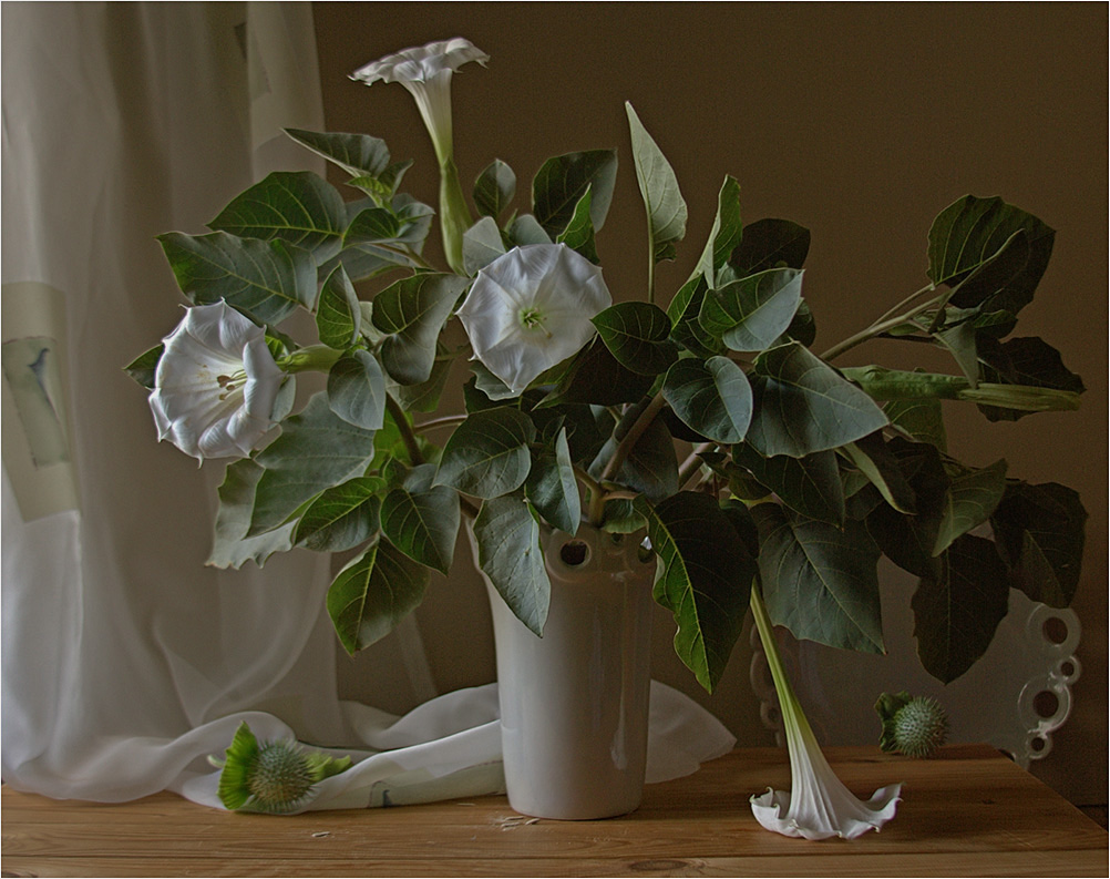 "Dope roch süß ...."