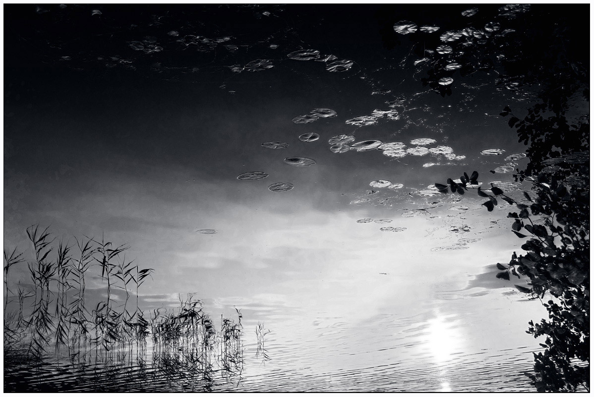 Unterwasserwelt (h \\ \\ b)