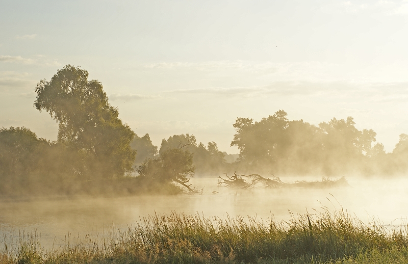 Der Morgen auf dem Pripjat