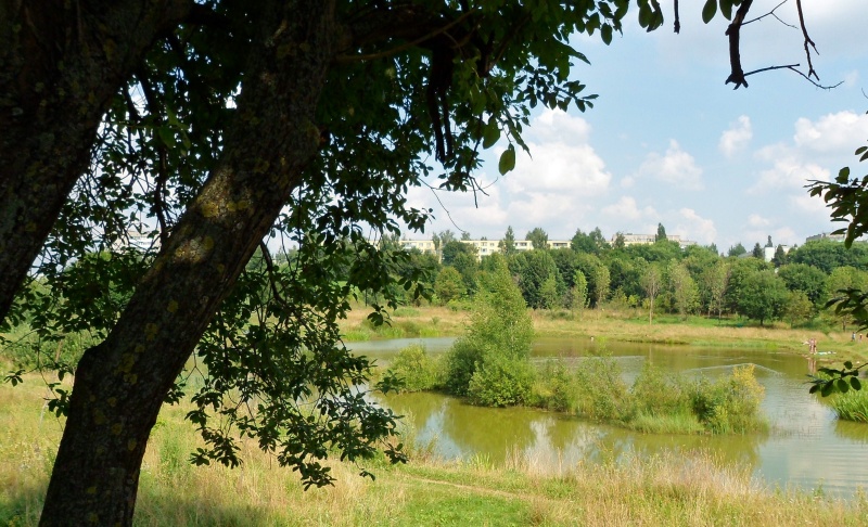 Die Natur ihrer Heimat