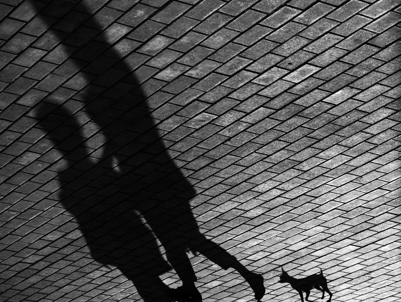 Von einem Leben der Schatten