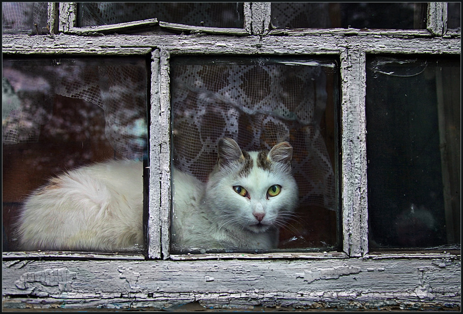 Zastekole - Urlaub Option