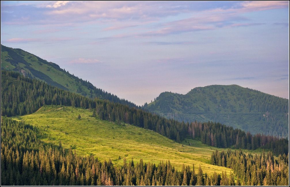 Sommermorgen in den Bergen