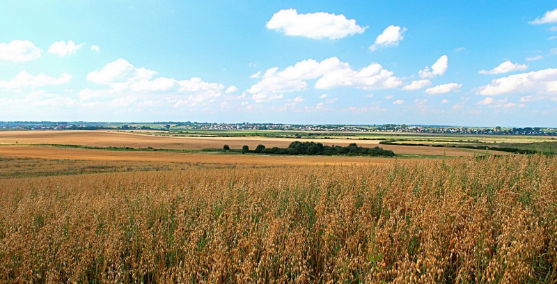 August ist Erntezeit
