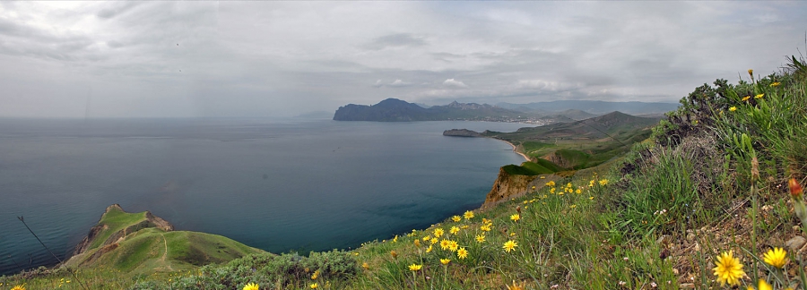 Frühling Weiten Cimmeria