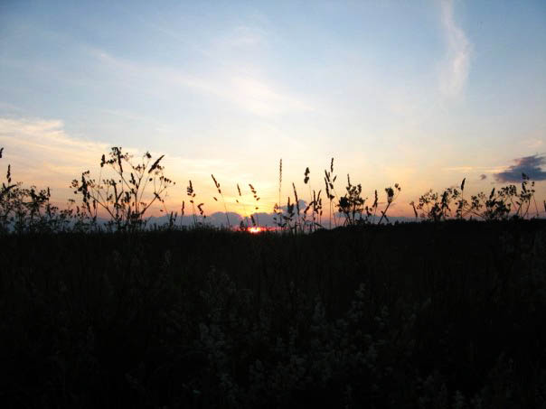 Eines Morgens in der Dämmerung ...