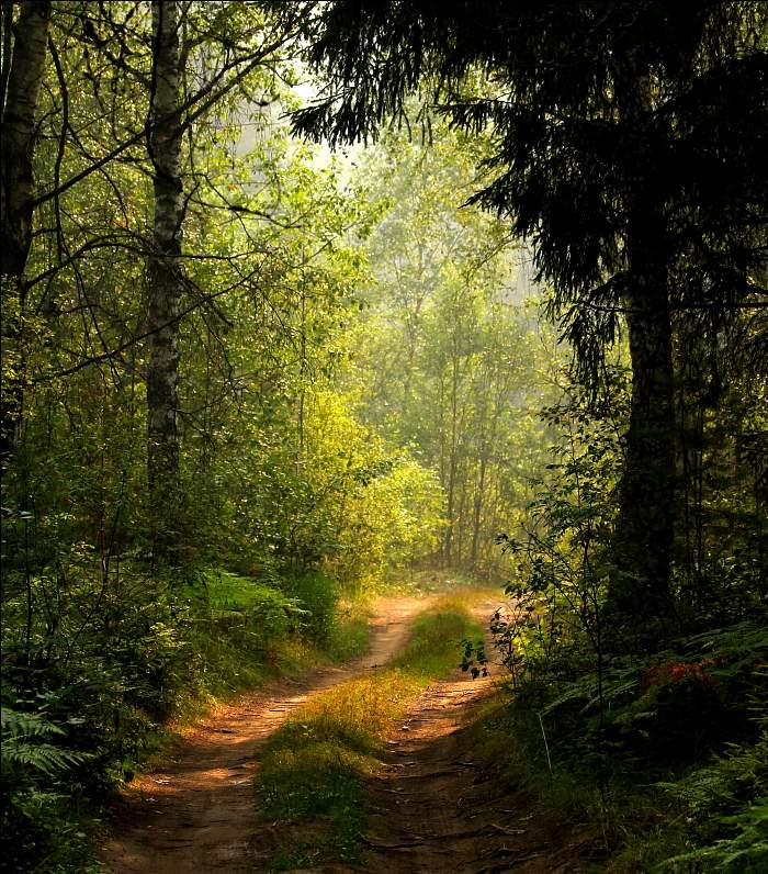 Wenn es nur noch nicht zu Ende ...