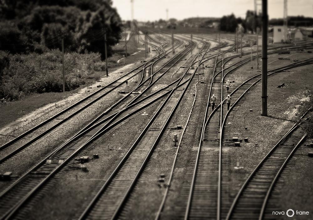 ... Jeder wählt für sich ...