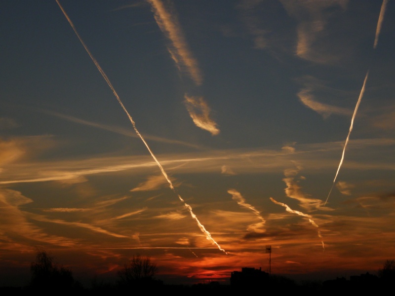 Halluzinationen auf Blatt