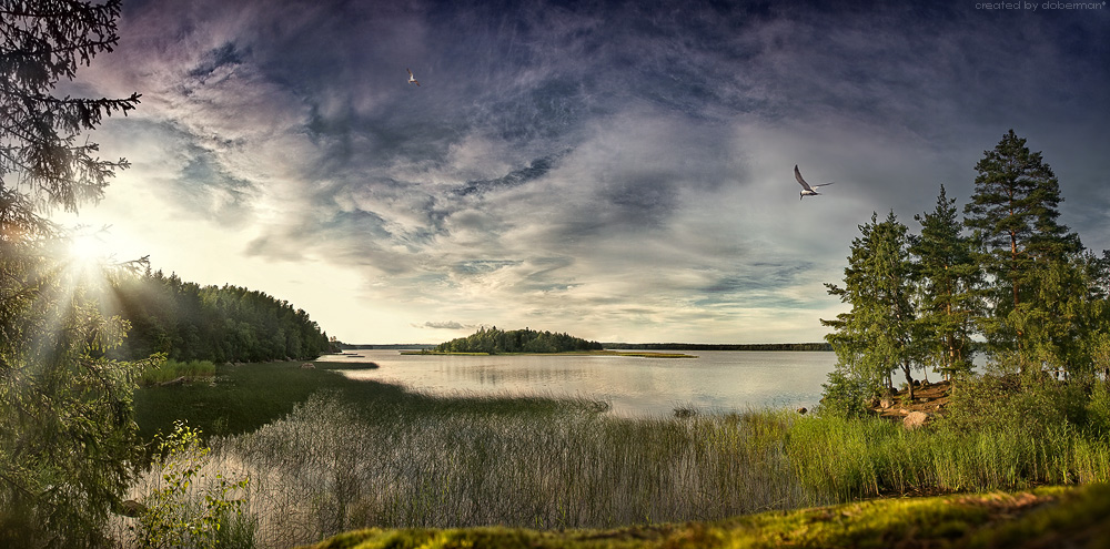 Tale of the Mon Repos