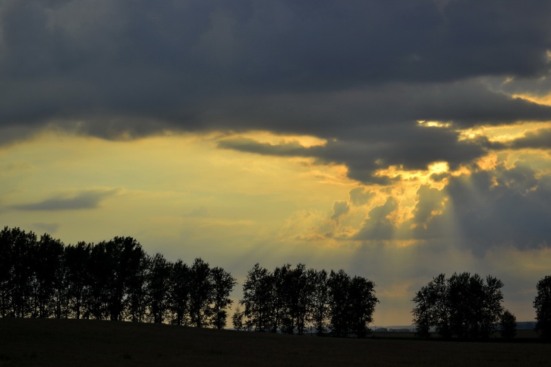 zwischen Tag und Nacht