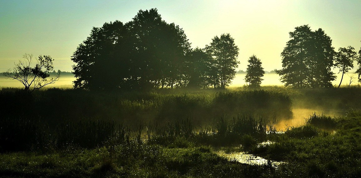 Morgen auf r.Usa # 2