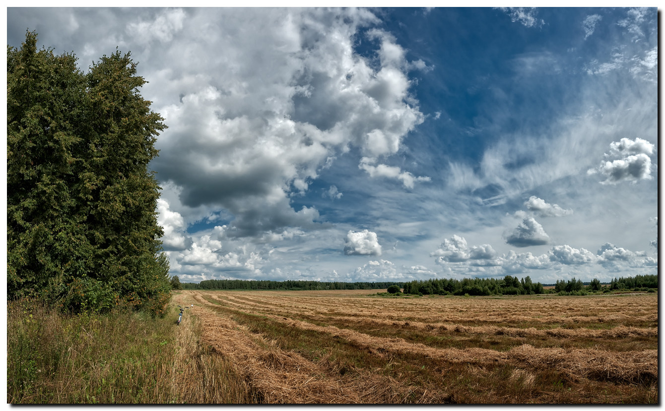 Auf der Weide des himmlischen ...