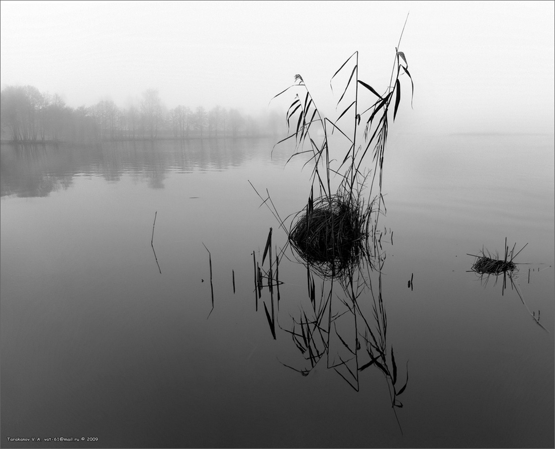 ÜBER ZEN "Break"-SEE ...