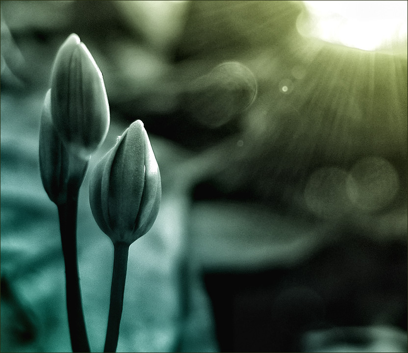 ..... Meeting neuer Tag .....