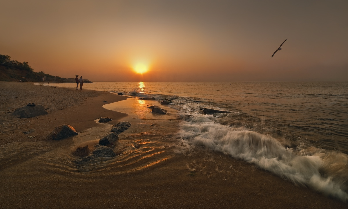 Wenn die Dämmerung kommt im August