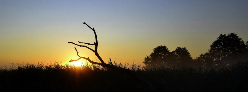 Ein riesiges Krokodil hat die Sonne verschluckt und nahm
