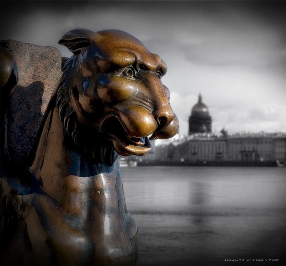 PRO "GRIFOSHU Petersburg" ...