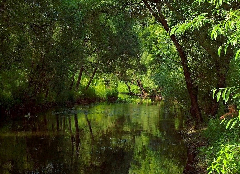 Neben Rechenka ...:)