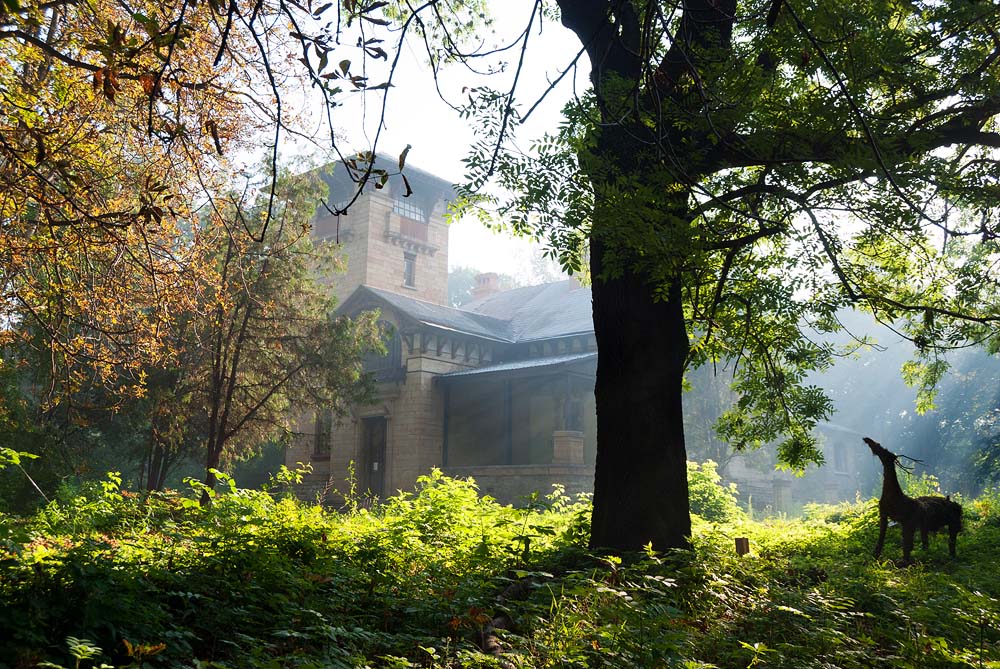 Am Morgen des alten Parks ...