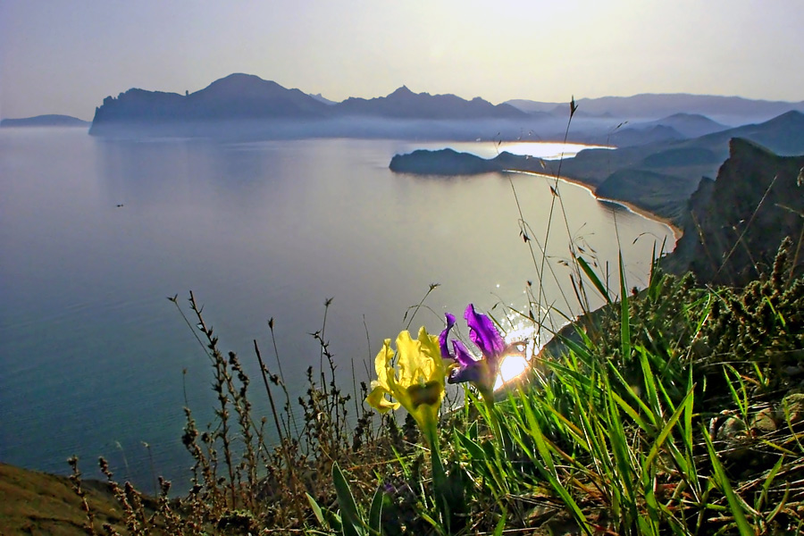 butterscotch auf der Piste