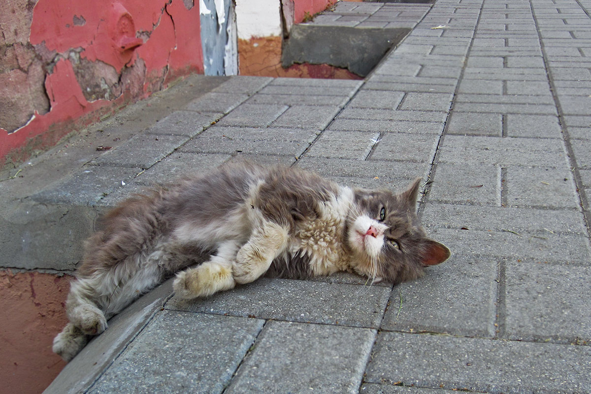 Noch einmal über Oblomow.