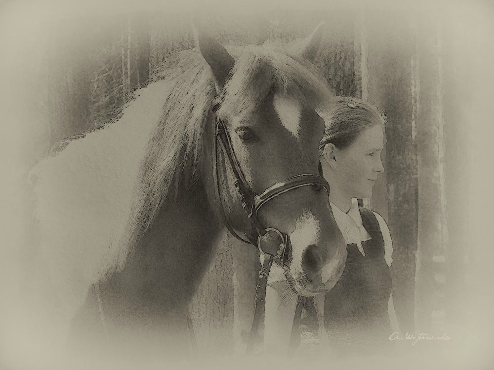 Pferd Geschichte ...