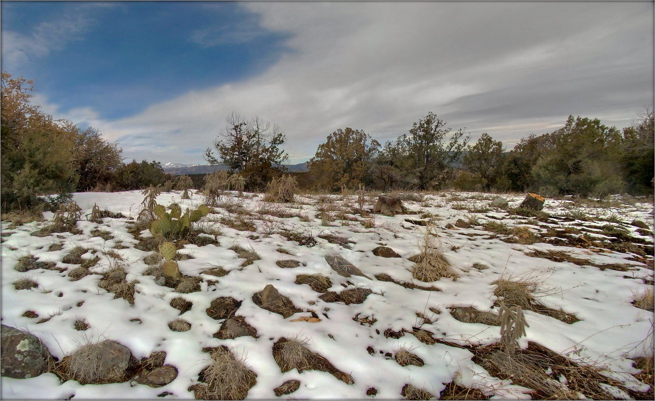 in den Bergen von Gila .. 3