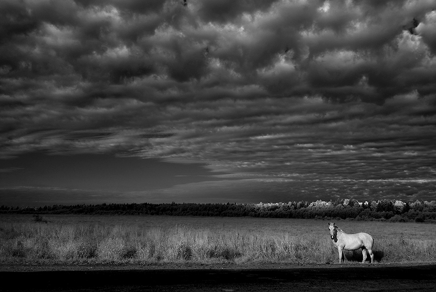 White. (Aus der Serie "Dreams").