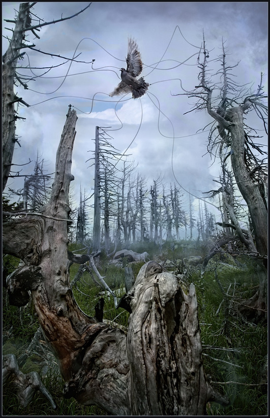 Versuch Nummer 7 ...