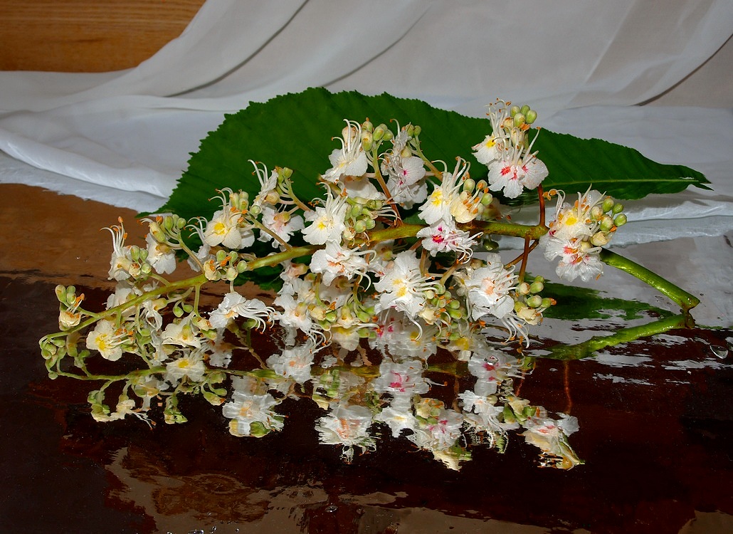 War der Monat Mai ...