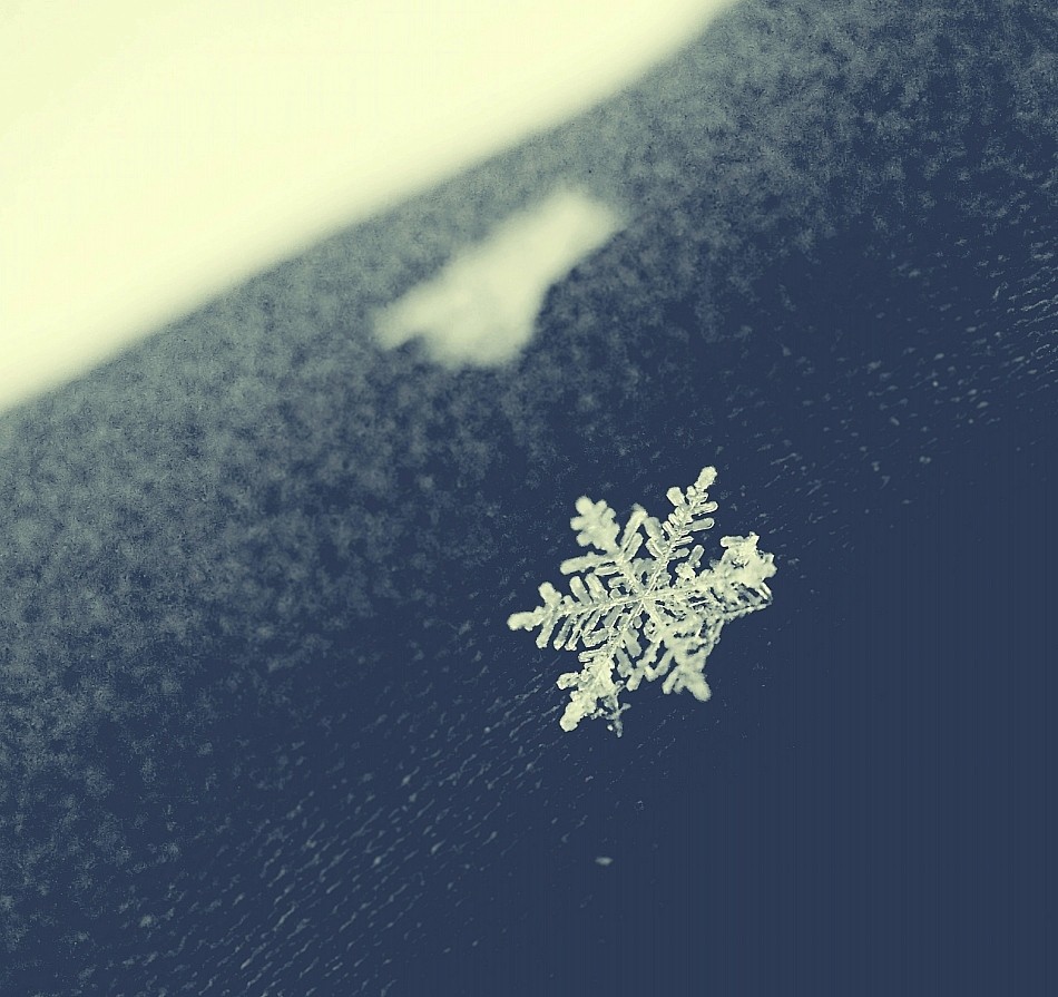 ... Mitreisenden ...