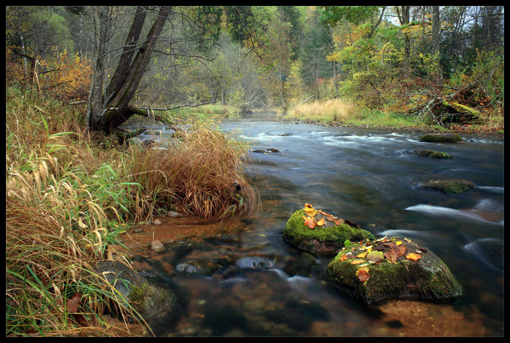 Morgen im Oktober auf dem Fluss