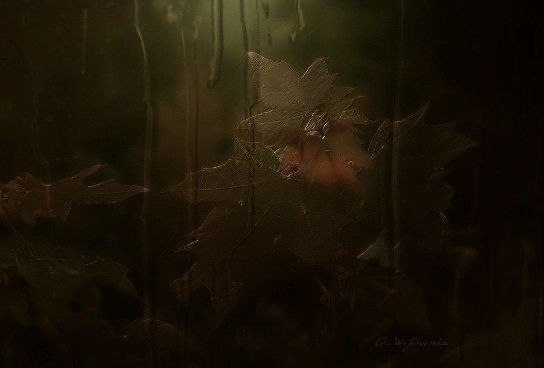 Tränen der Verabschiedung des Sommers ...