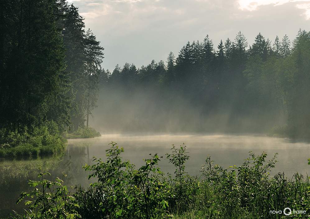 ... Wie Baumwolle, absorbieren die Geräusche der Nebel ...