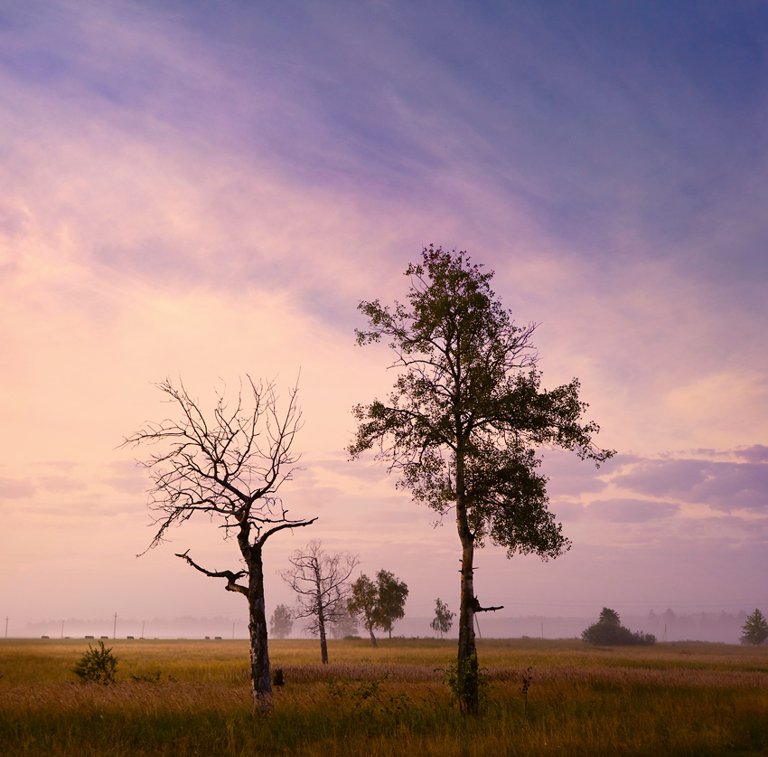 Begrüßung der Morgendämmerung