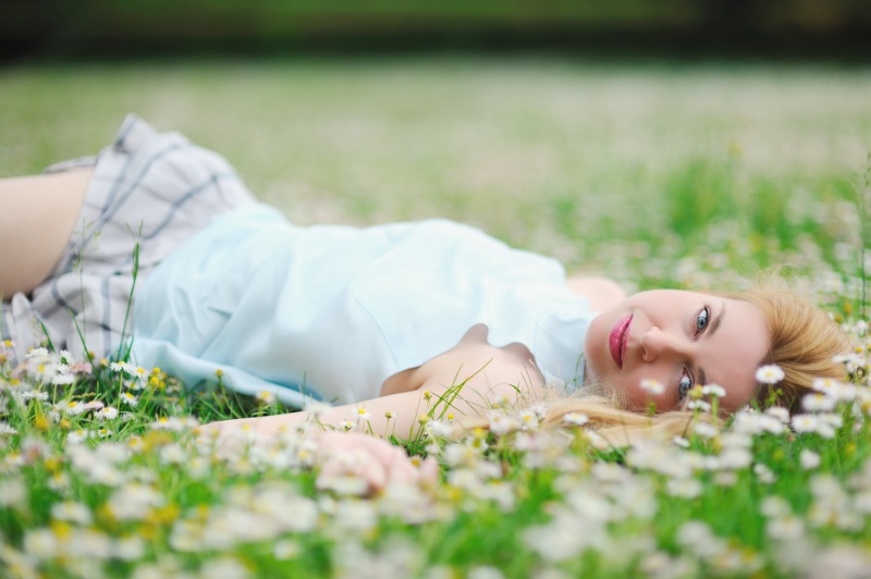 auf einem Teppich von Gänseblümchen ...