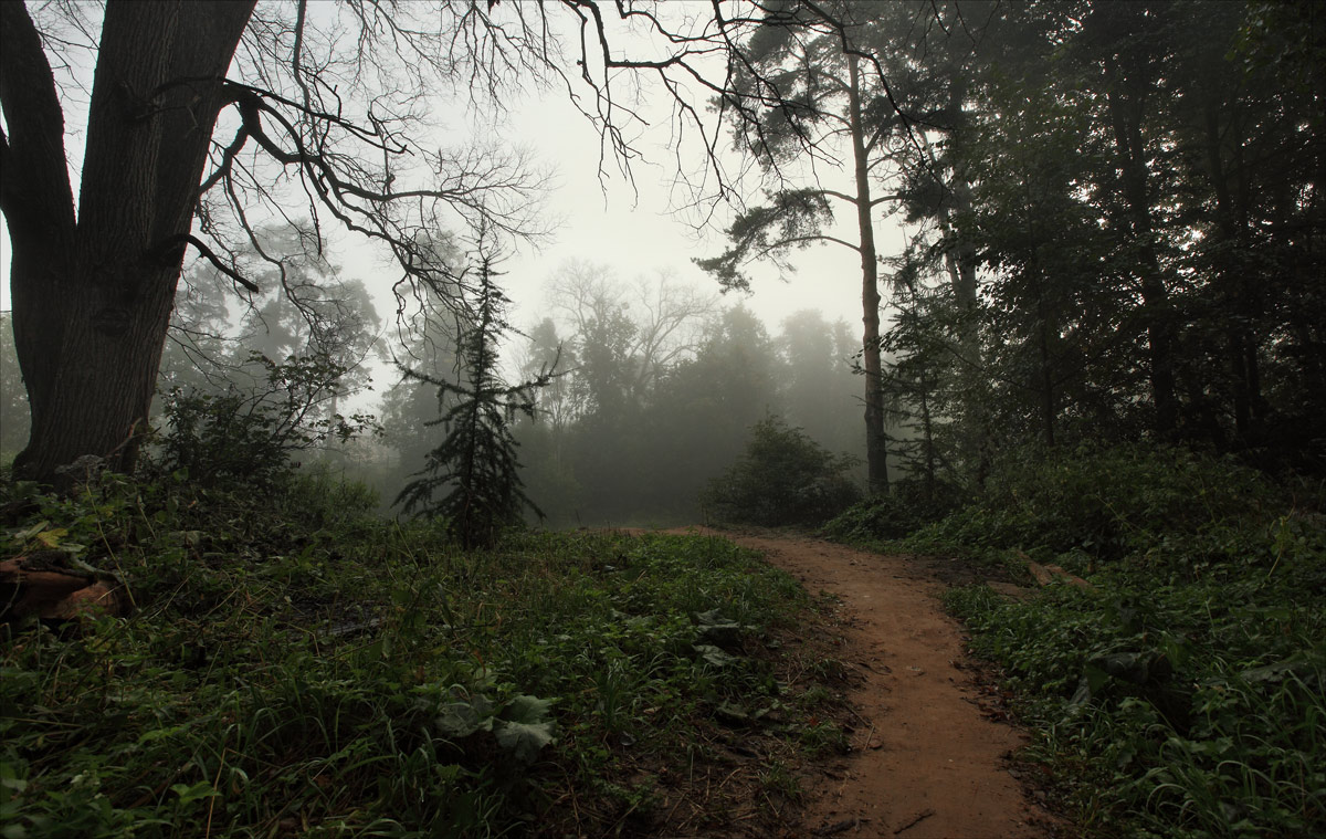 auf unbekannten Pfaden