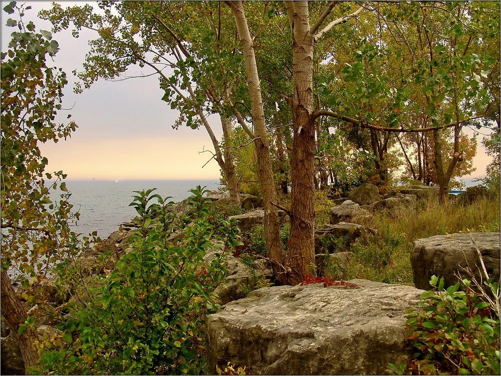 im Vorgriff auf den Fall