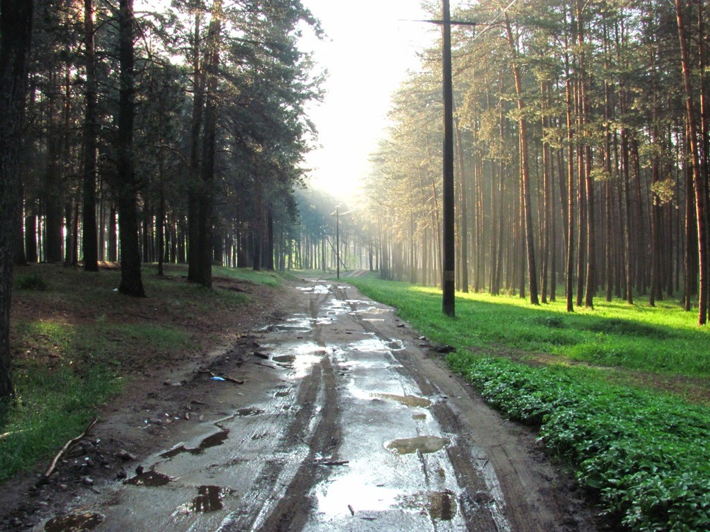 Auf dem Weg zur Arbeit