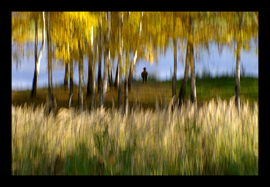 Im vergangenen Sommer